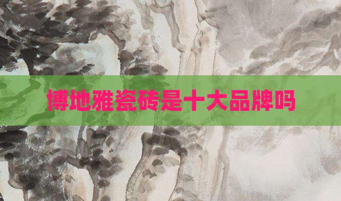 博地雅瓷砖是十大品牌吗