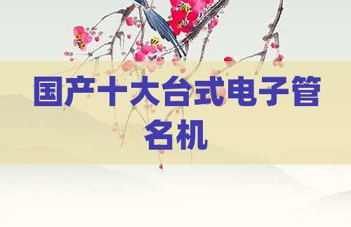 国产十大台式电子管名机