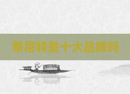 蒂尼特是十大品牌吗