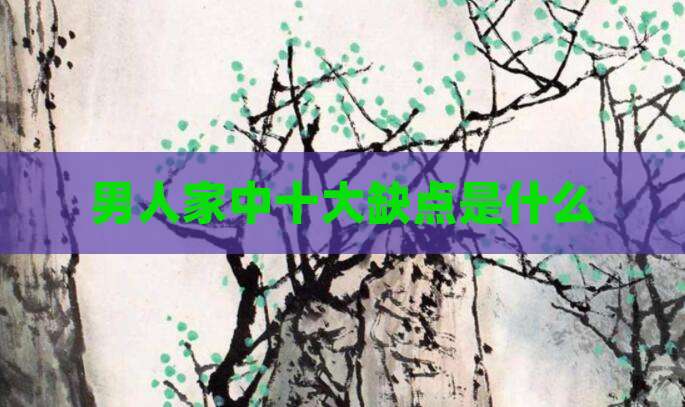 男人家中十大缺点是什么