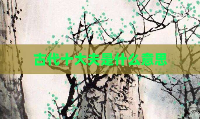 古代十大夫是什么意思