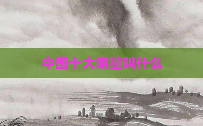 中国十大明星叫什么