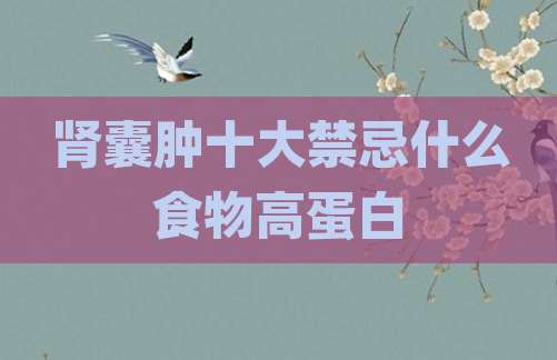 肾囊肿十大禁忌什么食物高蛋白