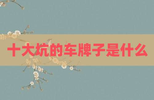 十大坑的车牌子是什么