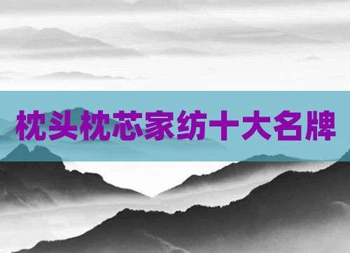 枕头枕芯家纺十大名牌
