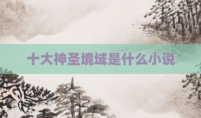 十大神圣境域是什么小说