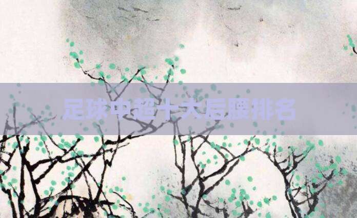 足球中超十大后腰排名
