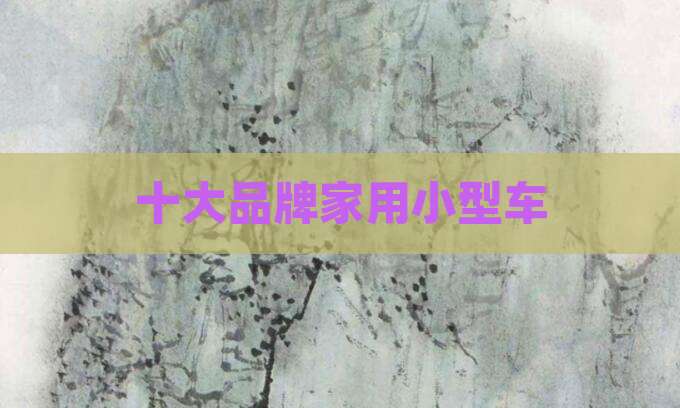 十大品牌家用小型车