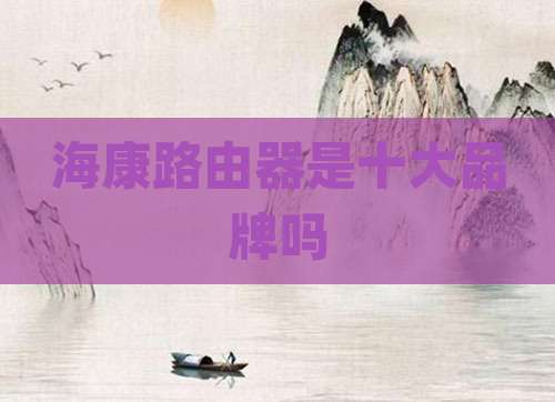 海康路由器是十大品牌吗