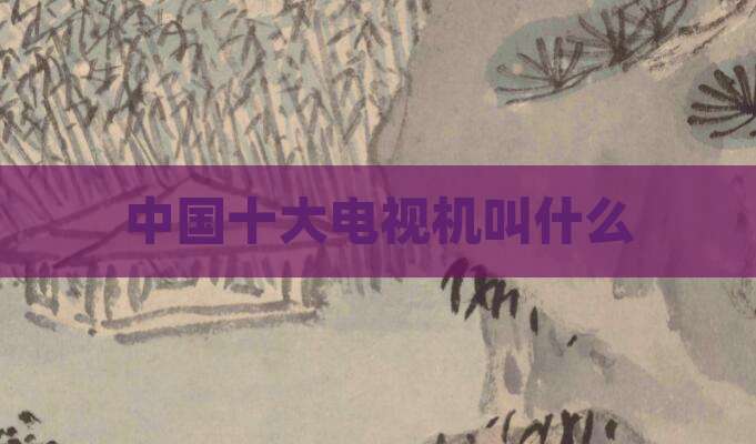 中国十大电视机叫什么