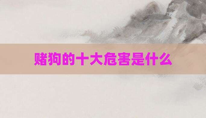赌狗的十大危害是什么