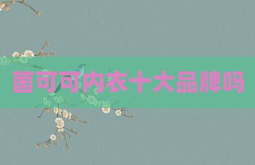 茵可可内衣十大品牌吗