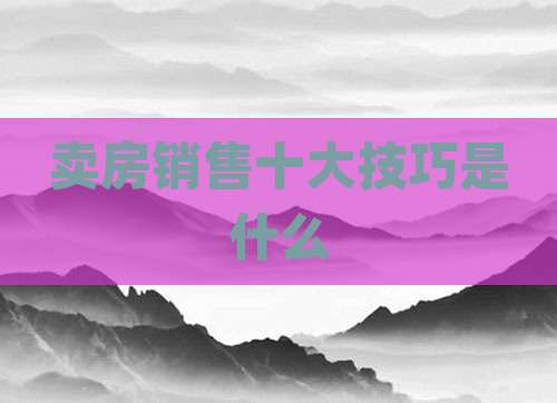 卖房销售十大技巧是什么