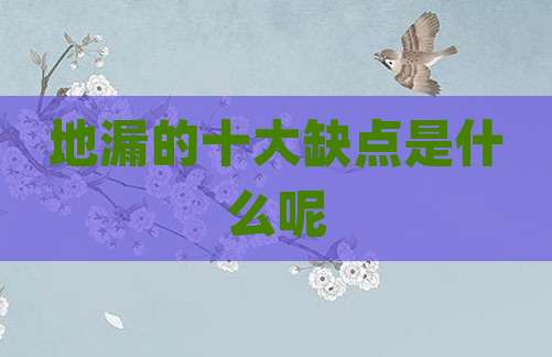地漏的十大缺点是什么呢