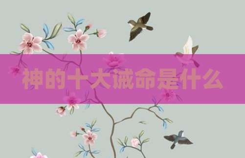 神的十大诫命是什么