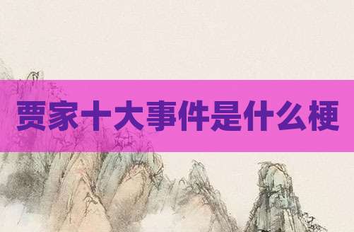 贾家十大事件是什么梗
