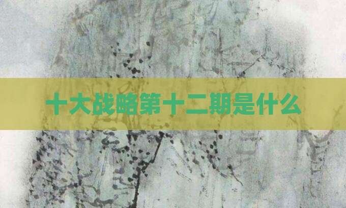 十大战略第十二期是什么