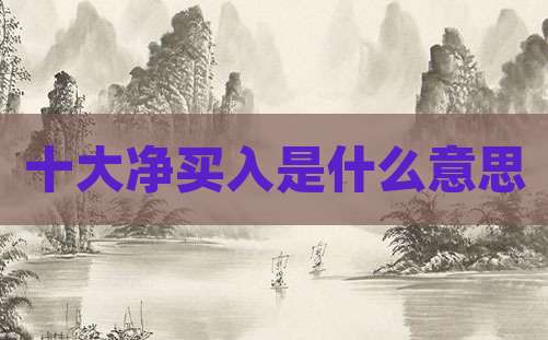 十大净买入是什么意思