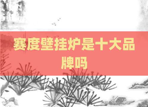 赛度壁挂炉是十大品牌吗