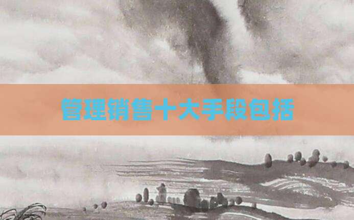 管理销售十大手段包括