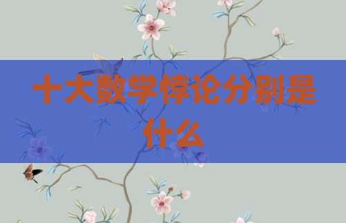 十大数学悖论分别是什么