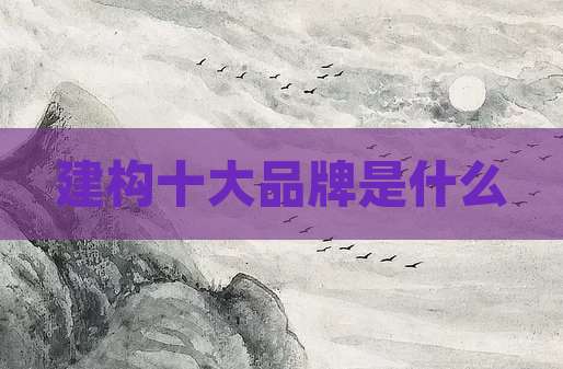 建构十大品牌是什么