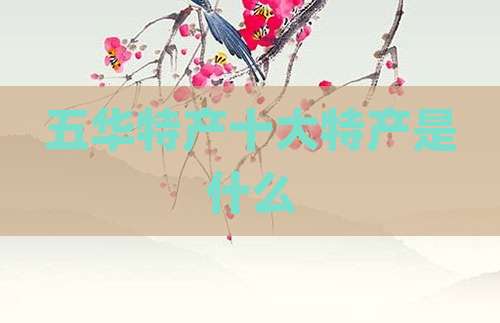 五华特产十大特产是什么