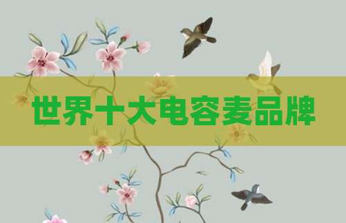 世界十大电容麦品牌