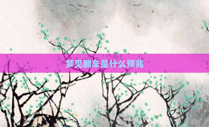 梦见翻车是什么预兆