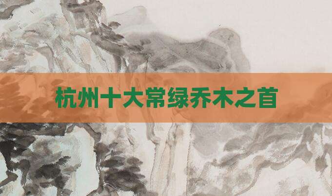 杭州十大常绿乔木之首