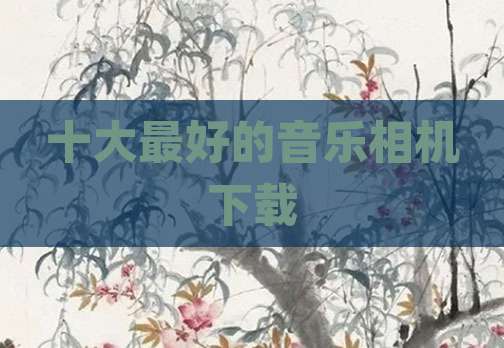 十大最好的音乐相机下载