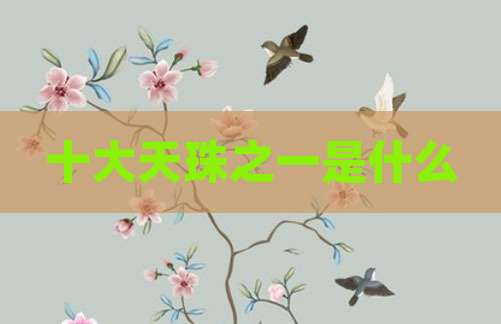 十大天珠之一是什么