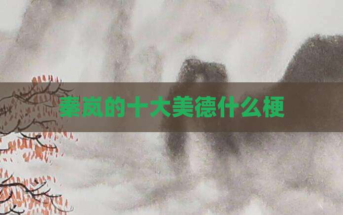 秦岚的十大美德什么梗