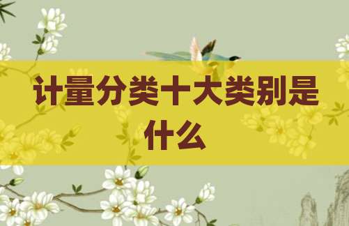 计量分类十大类别是什么