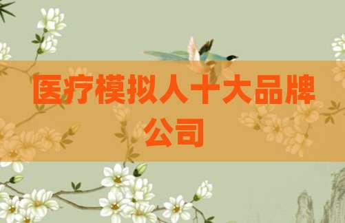 医疗模拟人十大品牌公司