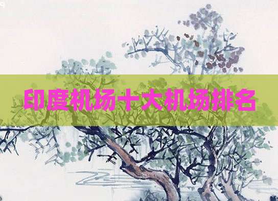 印度机场十大机场排名