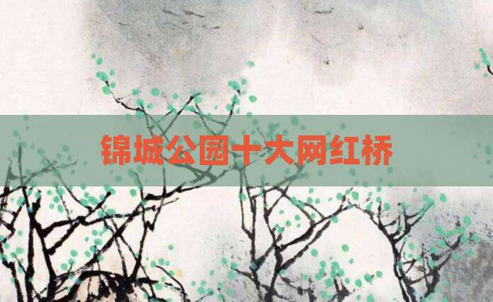锦城公园十大网红桥
