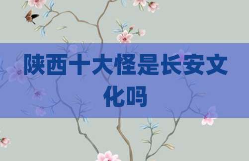 陕西十大怪是长安文化吗