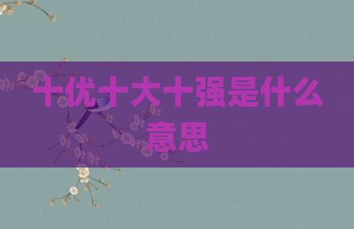 十优十大十强是什么意思