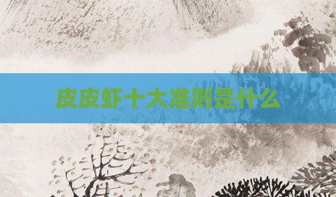 皮皮虾十大准则是什么