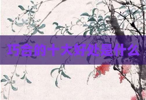 巧合的十大好处是什么