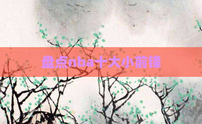 盘点nba十大小前锋
