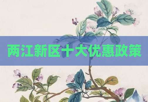 两江新区十大优惠政策
