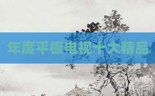 年度平板电视十大精品