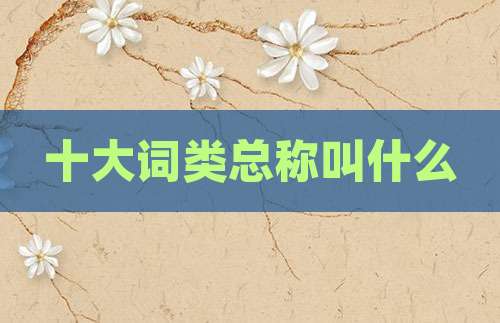 十大词类总称叫什么