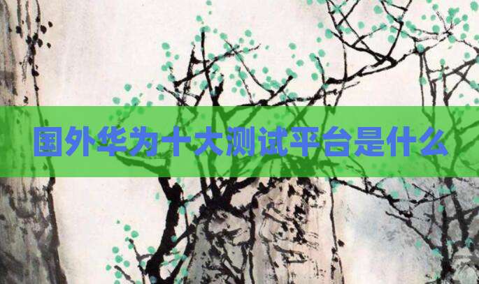 国外华为十大测试平台是什么