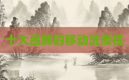 十大品牌的移动洗澡机