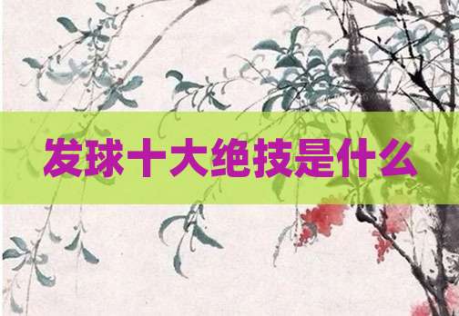 发球十大绝技是什么