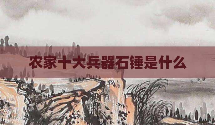 农家十大兵器石锤是什么