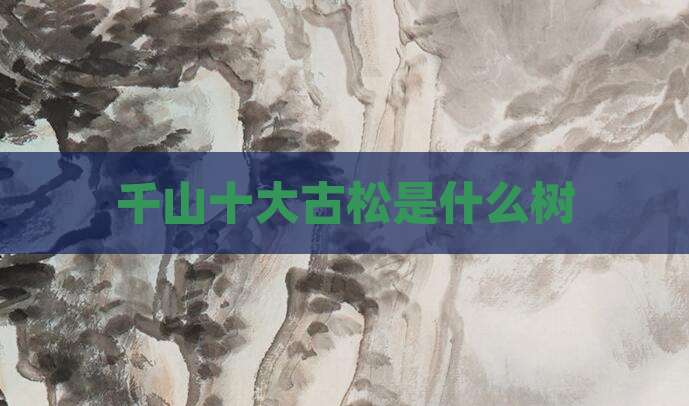 千山十大古松是什么树
